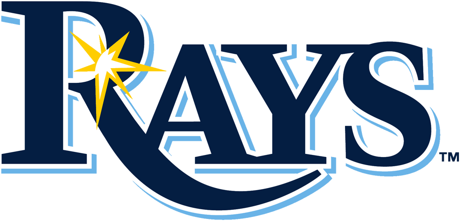 Tampa Bay Rays 2019-Pres Primary Logo iron on heat transfer...